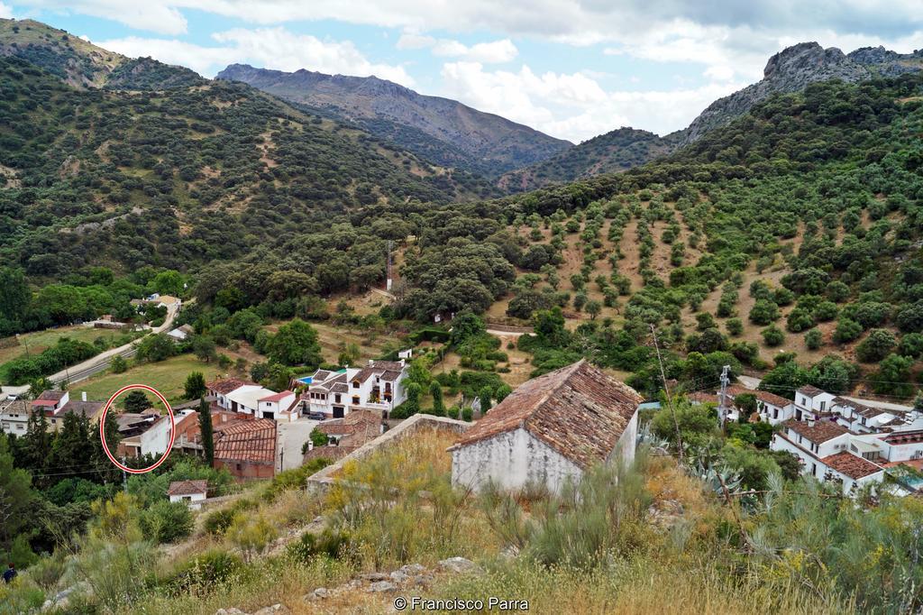 Casa Rural El Nacimiento Бенаохан Екстер'єр фото
